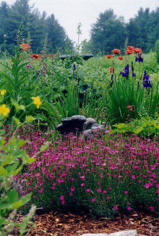 lakon herbals gardens