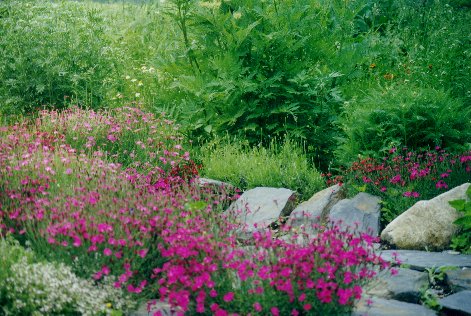 Lakon Herbals Garden 2007